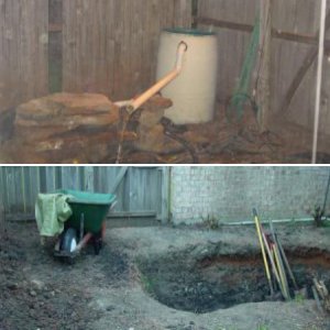 My new pond