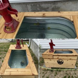 My stock tank pond