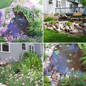 Pegs pond from beginning to now . . .