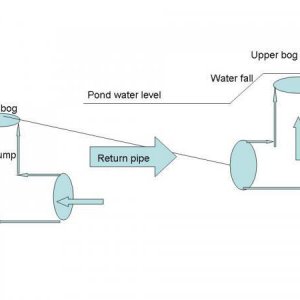 pond mechanics , no filter at all