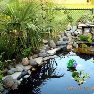 Copy of IMAG0015 Summer 2009 befor adding aquatic plants.