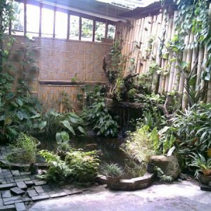 08012010(004)
