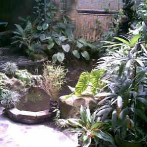 08012010(008)