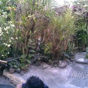 04012010(008)