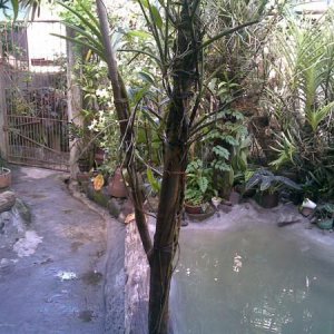 06012010(004)