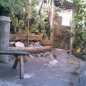 06012010(009)