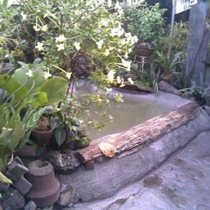 06012010(013)