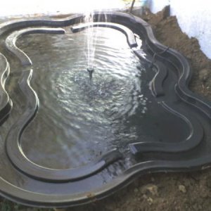 The start of the pond.