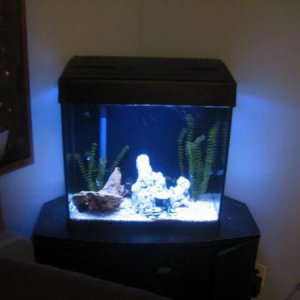 Fresh water 45gal