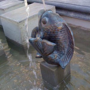 IMG 0712