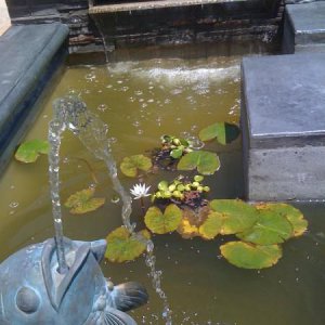 IMG 0949