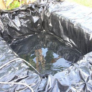 come on water