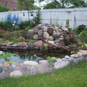 12 pondgarden5 10