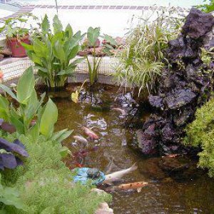 backyard waterfall