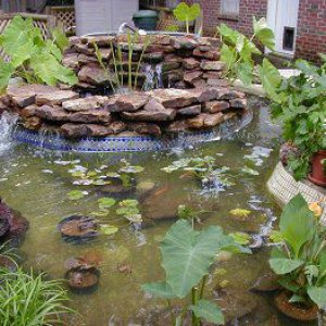 After secondary pond with waterfall was finished