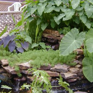 Two Tier Pond Waterfall - Waterfall built from home made stock taink filter