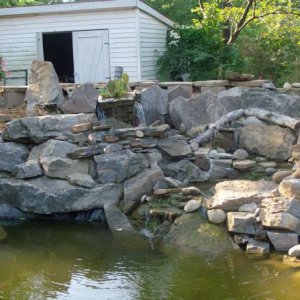 5000 Gallon pond after complete rebuild