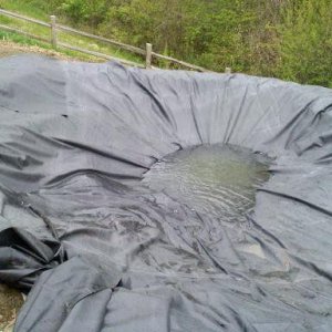 The first real expense was a 45 mil liner from pondliner.com.