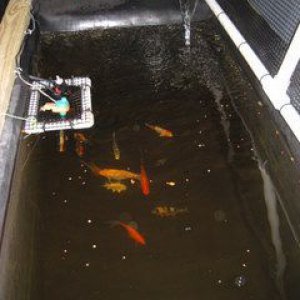 IMG 0796
