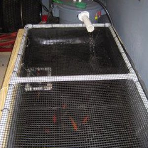 IMG 0784