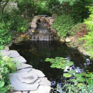 Pond 02
