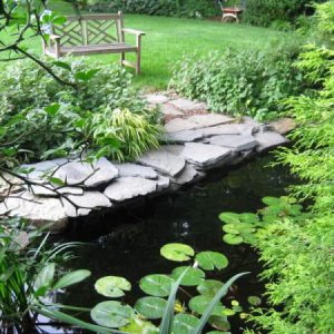 Pond 09