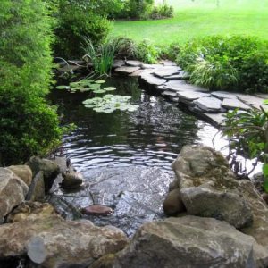 Pond 10