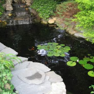 Pond 03