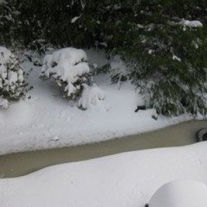 IMG 0859