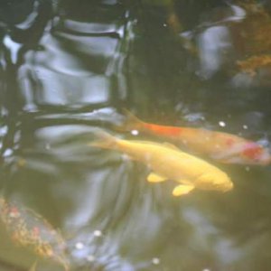 IMG 4763