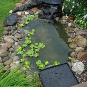Pond 4