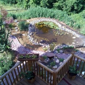 A view from above after adding the rocks.
