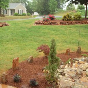 2010 05 03 Pond and Front Yard 005