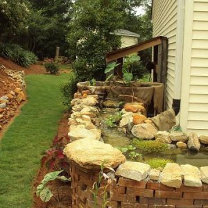 Pond & Yard 052