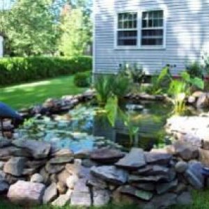pond b4 renovations.  This was before I added the retaining wall and patio...  Never could tell if I was going to fall in or out of the pond when cleaning climbing on those rocks!