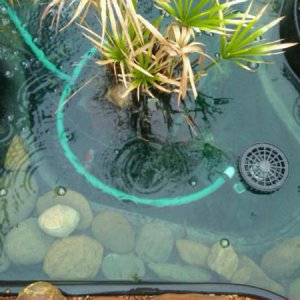 DIY SKIMMER