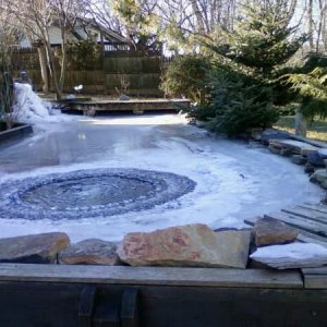 frozen pond