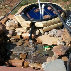 new pond filter working 001