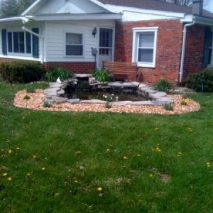 pond new landscaping