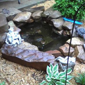 pond