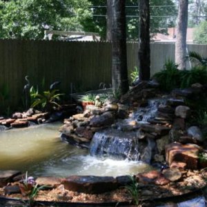 Koi Pond...right at 2000 gallons