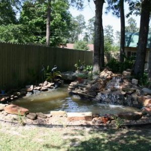 pond