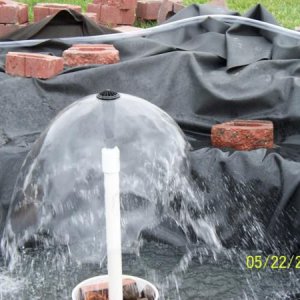 Fountain running ... pond not full, but I was anxious to see the pump running.  :-)