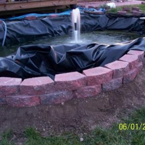 Outside bog wall, liner laying in it, long enough to go over the outside edge,  barely!