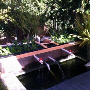 The natural planterbox extra biological plant clarifier 7.2011