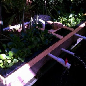 The natural planterbox extra biological plant clarifier... Filled with water hyacinth, some parrot feather, and not yet seen yellow water lily and blue louisiana iris (in bulb form underwater) 7.2011