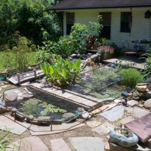 Gazebo view 1