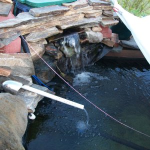 Pee And pond 061911 018