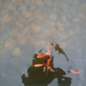 water