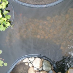 water2